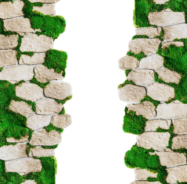 istock wall of decorative stone and moss 997593178