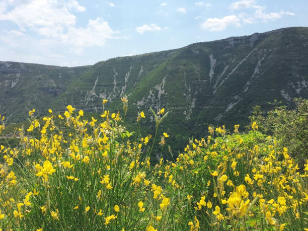 istock Cirque de Navacelles, France 997596038
