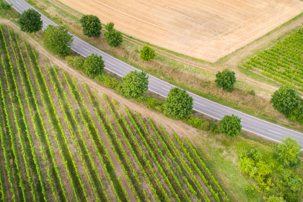 istock Road through agricultural area 997597244