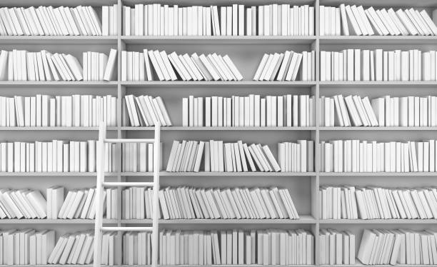 White bookshelf with books.3d rendering stock photo