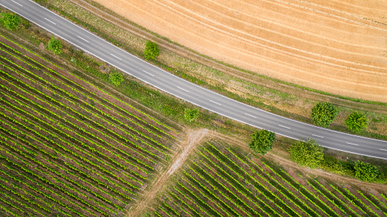 Road through the vineyards - aerial view