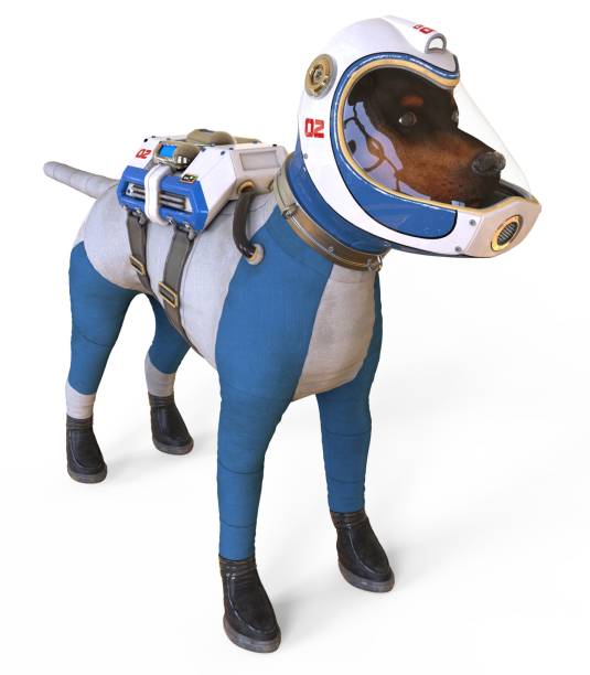 istock Dog in an astronaut's space suit. 3D illustration isolated on white. 997597916