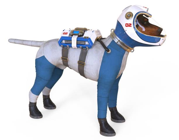istock Dog in an astronaut's space suit. 3D illustration isolated on white. 997597948