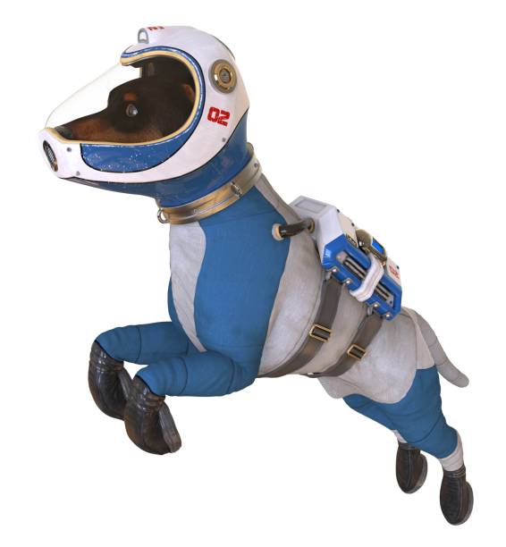 istock Dog in an astronaut's space suit. 3D illustration isolated on white. 997598020