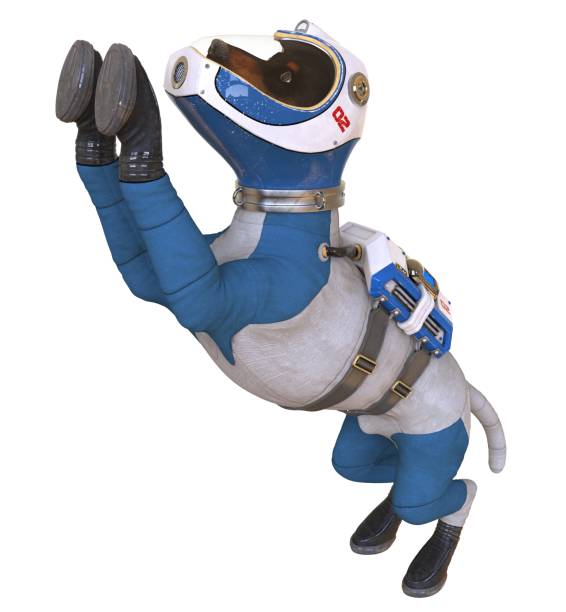 istock Dog in an astronaut's space suit. 3D illustration isolated on white. 997598094