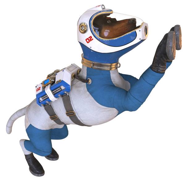 istock Dog in an astronaut's space suit. 3D illustration isolated on white. 997598170