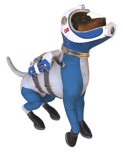 istock Dog in an astronaut's space suit. 3D illustration isolated on white. 997598238