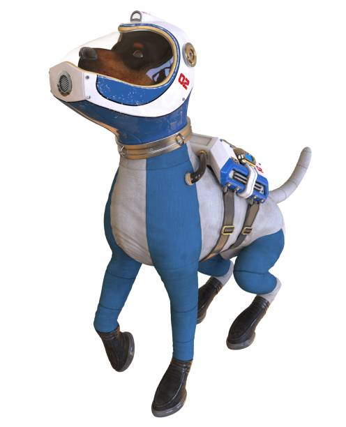 istock Dog in an astronaut's space suit. 3D illustration isolated on white. 997598272
