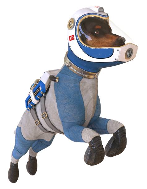 istock Dog in an astronaut's space suit. 3D illustration isolated on white. 997600350