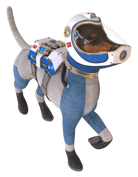 istock Dog in an astronaut's space suit. 3D illustration isolated on white. 997600376