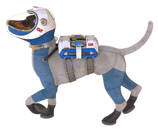 istock Dog in an astronaut's space suit. 3D illustration isolated on white. 997600476