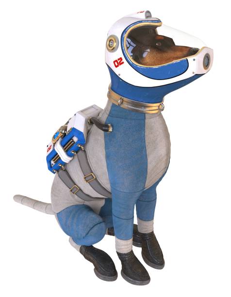 istock Dog in an astronaut's space suit. 3D illustration isolated on white. 997600694