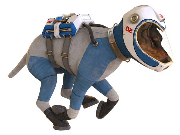 istock Dog in an astronaut's space suit. 3D illustration isolated on white. 997600770