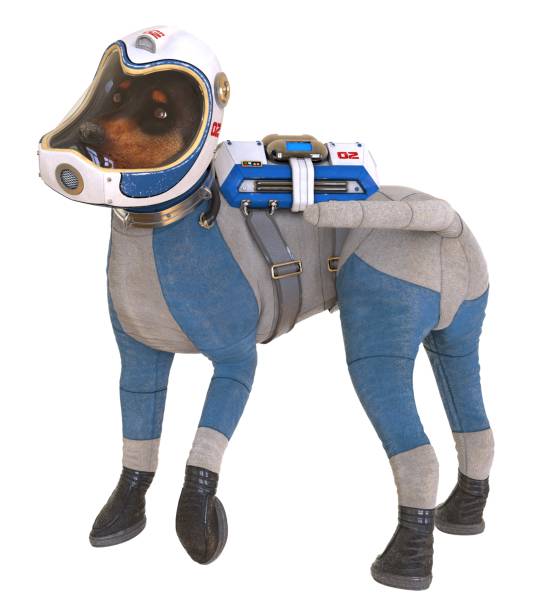 istock Dog in an astronaut's space suit. 3D illustration isolated on white. 997600814