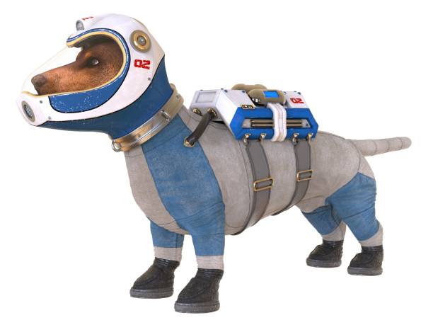 istock Dog in an astronaut's space suit. 3D illustration isolated on white. 997600834