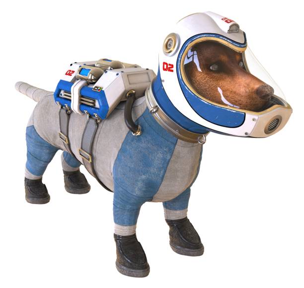 Dog in an astronaut's space suit. 3D illustration isolated on white.