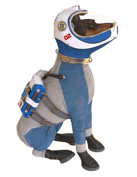 istock Dog in an astronaut's space suit. 3D illustration isolated on white. 997600946