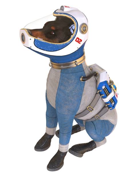istock Dog in an astronaut's space suit. 3D illustration isolated on white. 997601030