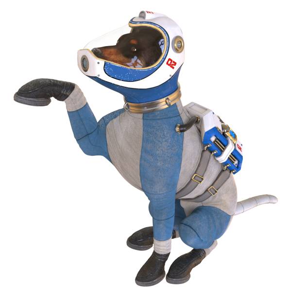 istock Dog in an astronaut's space suit. 3D illustration isolated on white. 997601118