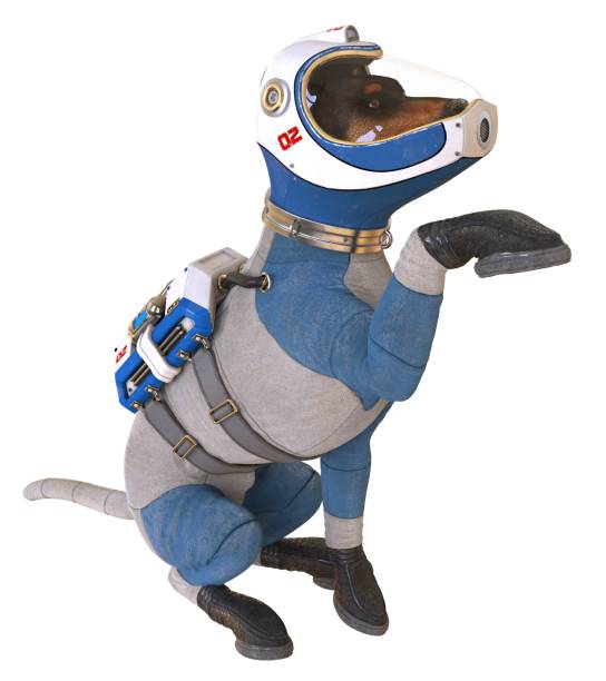 istock Dog in an astronaut's space suit. 3D illustration isolated on white. 997601170