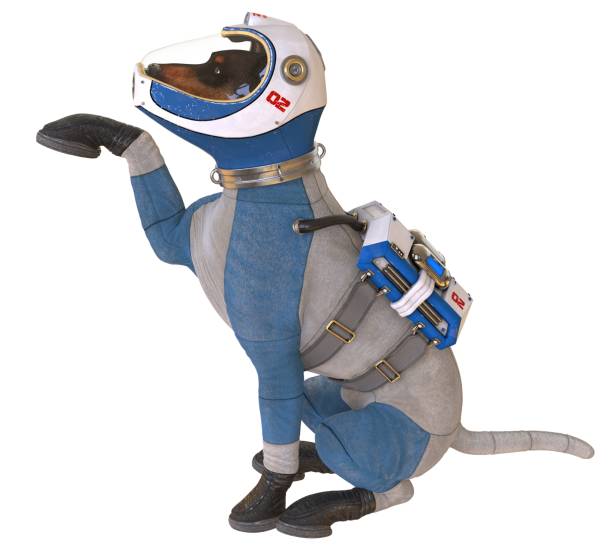 istock Dog in an astronaut's space suit. 3D illustration isolated on white. 997601204