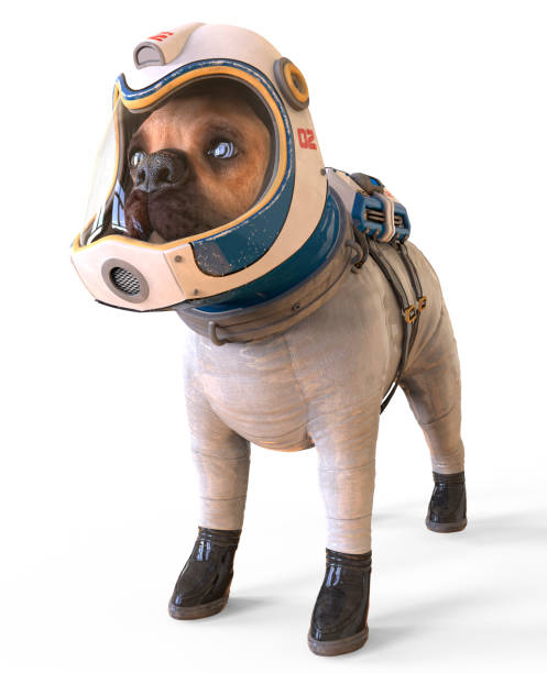 istock Dog in an astronaut's space suit. 3D illustration isolated on white. 997601304