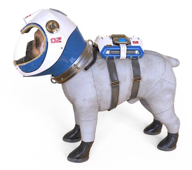istock Dog in an astronaut's space suit. 3D illustration isolated on white. 997601324