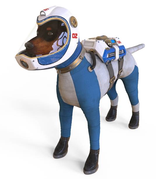 istock Dog in an astronaut's space suit. 3D illustration isolated on white. 997601356