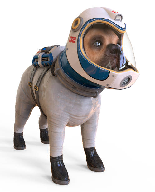 istock Dog in an astronaut's space suit. 3D illustration isolated on white. 997601422