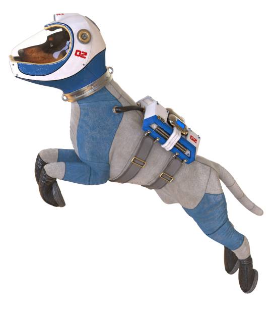 istock Dog in an astronaut's space suit. 3D illustration isolated on white. 997602124