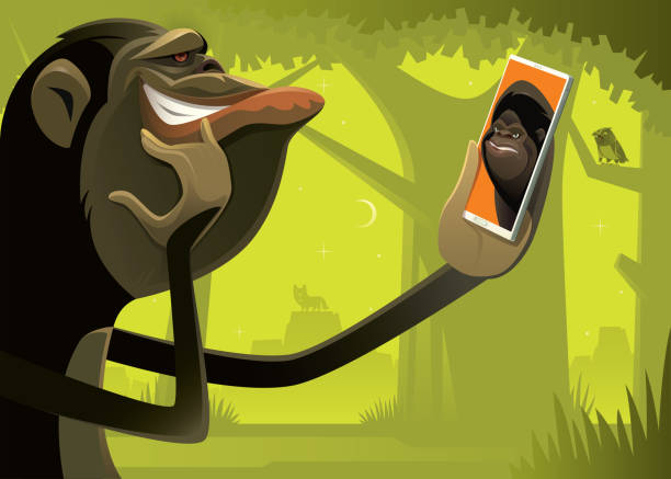 ilustraciones, imágenes clip art, dibujos animados e iconos de stock de video de chimpancé con gorila vía smartphone - telephone chimpanzee monkey on the phone