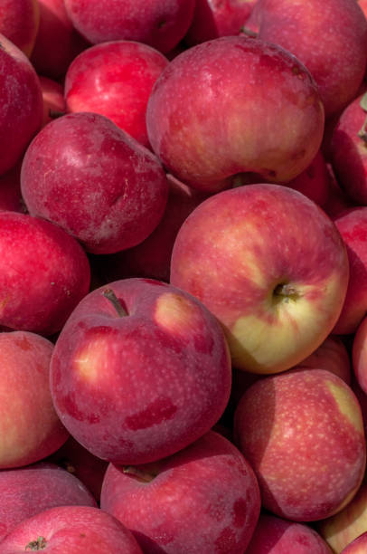 istock Red apples, market in the city 997629534