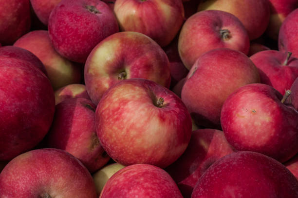 istock Group of apples on the market 997629538