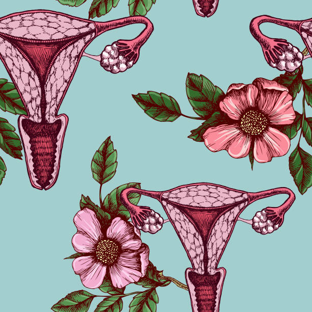 ilustrações de stock, clip art, desenhos animados e ícones de seamless pattern with women uterus and wild roses. hand drawn vector unusual texture. - ovary