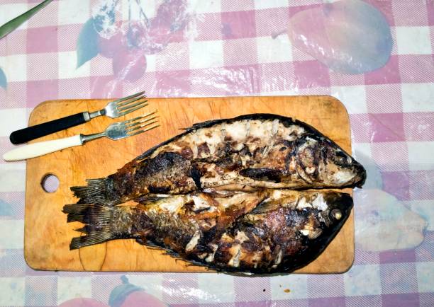 istock grilled fish with a Golden crust 997666702
