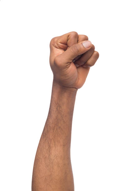 istock Male black fist isolated on white background 997679734