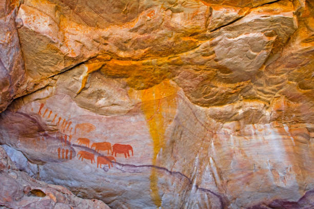 Rock art of people and elephant South Africa Indigenous rock art in Cederberg, South Africa cederberg mountains photos stock pictures, royalty-free photos & images