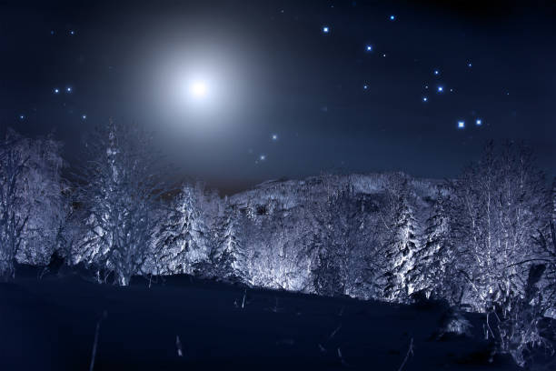 istock Moon over winter forest. Winter night landscape. Spruce forest in winter 997686966