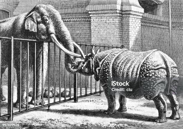 Elephant And Rhinoceros Welcome Each Other At The Zoo Stock Illustration - Download Image Now
