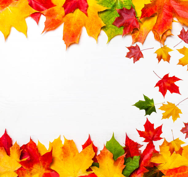 istock Autumn frame composition made of falling  autumn leaves on white background with Copy space.  Flat lay, top view