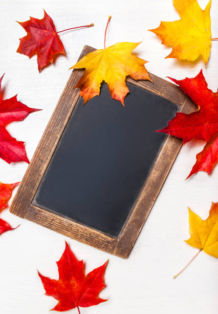 istock Autumn leaves border on a chalkboard background with copy space. Back to School concept
