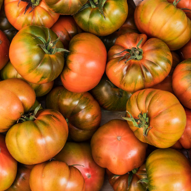 istock Yellow  tomatoes background. Group of tomatoes, top view
