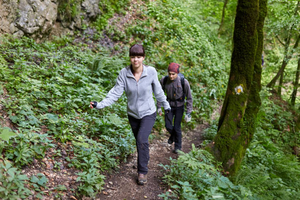 istock Group of people hiking on a trail 997714538