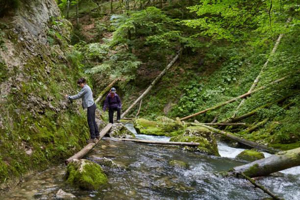 istock Group of people hiking on a trail 997714570
