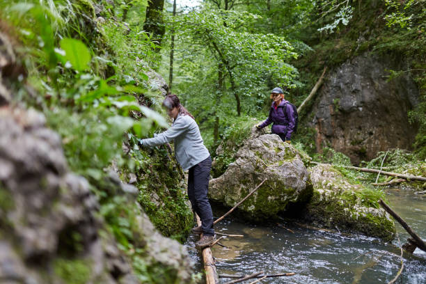 istock Group of people hiking on a trail 997714616