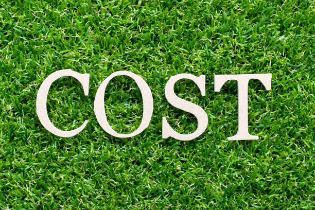 istock Wood alphabet in word cost on artificial green grass background 997746576