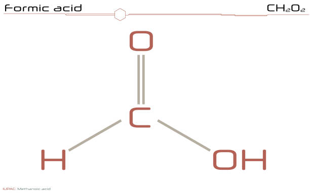 Formics Drawing 50+ Formic Acid Stock Illustrations, Royalty-Free Vector Graphics ...