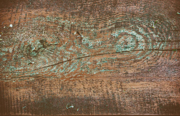 istock Texture of brown old board with swirls. Mockup. Background 997751996