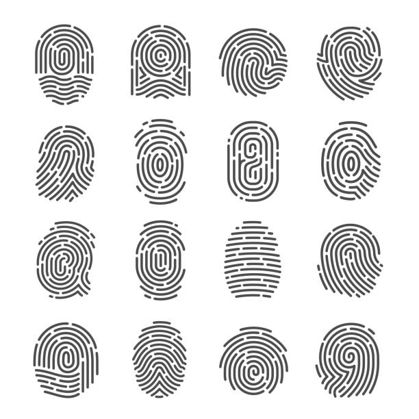 illustrazioni stock, clip art, cartoni animati e icone di tendenza di set di icone delle impronte digitali - biometrics fingerprint identity flat bed scanner