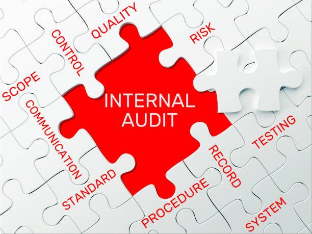 INTERNAL AUDIT - PUZZLE CONCEPT INTERNAL AUDIT - PUZZLE CONCEPT insides stock pictures, royalty-free photos & images